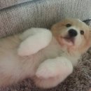 에그하우스 이미지