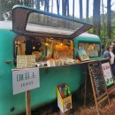 함덕 화산송이 펜션 | 제주 비밀의숲&amp;계절식탁 SNS 커플 스냅사진 핫플 순살갈치조림 세트 후기