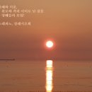 세상사이로 Daum카페