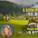 A Little Peace (작은 평화) - Nicole Flieg 이미지