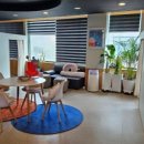 손안마원 이미지