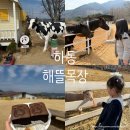 아이뜰어린이집 | 진주 근교 아이랑 갈만한곳 추천 하동 해뜰목장