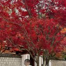 배론성지 관광안내소 | 충북 제천 배론성지 단풍 명소 가을 가볼만한곳 미사 시간 주차 베론성지