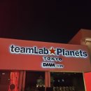 천아트:꽃으로 물들이다 | [도쿄 실내 데이트] 디지털 아트 뮤지엄 '팀랩 플래닛' 방문 후기/물 위를 걷는 체험형 전시