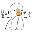 운남동물병원 이미지