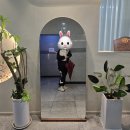 전방십자인대 수술 8주차 도수치료 재활운동 후기