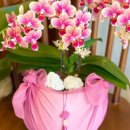 좋은날,여기 이미지