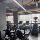 펄슨피티 이미지