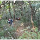 송원농원 이미지