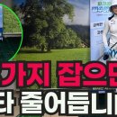 3가지 핵심만 잡으면 성공하는 파크골프 퍼팅! 이미지