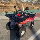 타이어종합모터스 | 경남 합천 디엔에이 모터스 올코트 100 사발이 바이크 대림 오토바이 납품후기 사륜오토바이 ATV