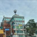 천세봉한의원 이미지