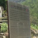 난비포장으로