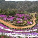 동산잔디 이미지