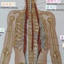 테크노도담한의원 이미지