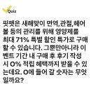 230113 캐시워크 - 핏펫 이미지