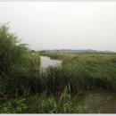 노진낚시터 이미지