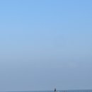 제주돗