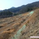 543태양광발전소 이미지