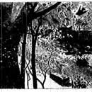 Tome2 COSETTE Livre6 LE PETIT-PICPUS III IV 이미지