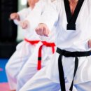 어울림 태권도 사관학교 이미지