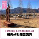 악양생활체육공원 이미지