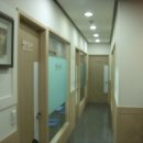 분당-100 이미지