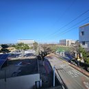 애월체육관 이미지