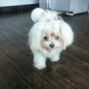 테라리움동물병원 이미지