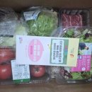 (유)진도관광여행사 이미지