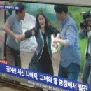 병호농장 티스토리