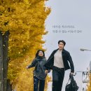 은수