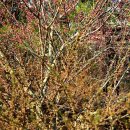 상옥보건진료소 이미지