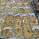 다나병원 이미지