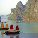 Halong (하롱) 이미지