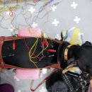 아프리카 동물병원 이미지