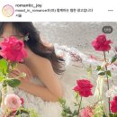 헤넴 이미지