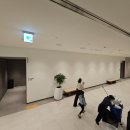 오션동물병원 | &lt;파주&gt;운정 스타필드 빌리지 오픈! 오픈 행사 가득했던 방문 후기