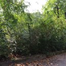 백곡쉼터 이미지