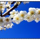 김*용 - 안양시 동안구 학의로 46 | 김*용