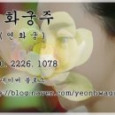 방울여행사 이미지