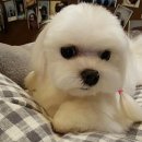 아이린유치원 이미지