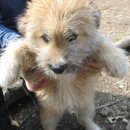 영림축산 이미지