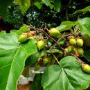 함라노소경로당 이미지