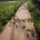 쇠꼴마을 이미지