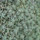 광영 농장 이미지