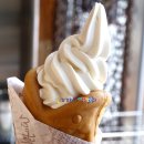 고흥 만남의 광장 이미지