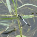 보성강8 이미지