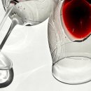 SKY KIDS POOL 이미지