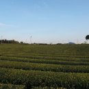 다랑쉬민박 이미지